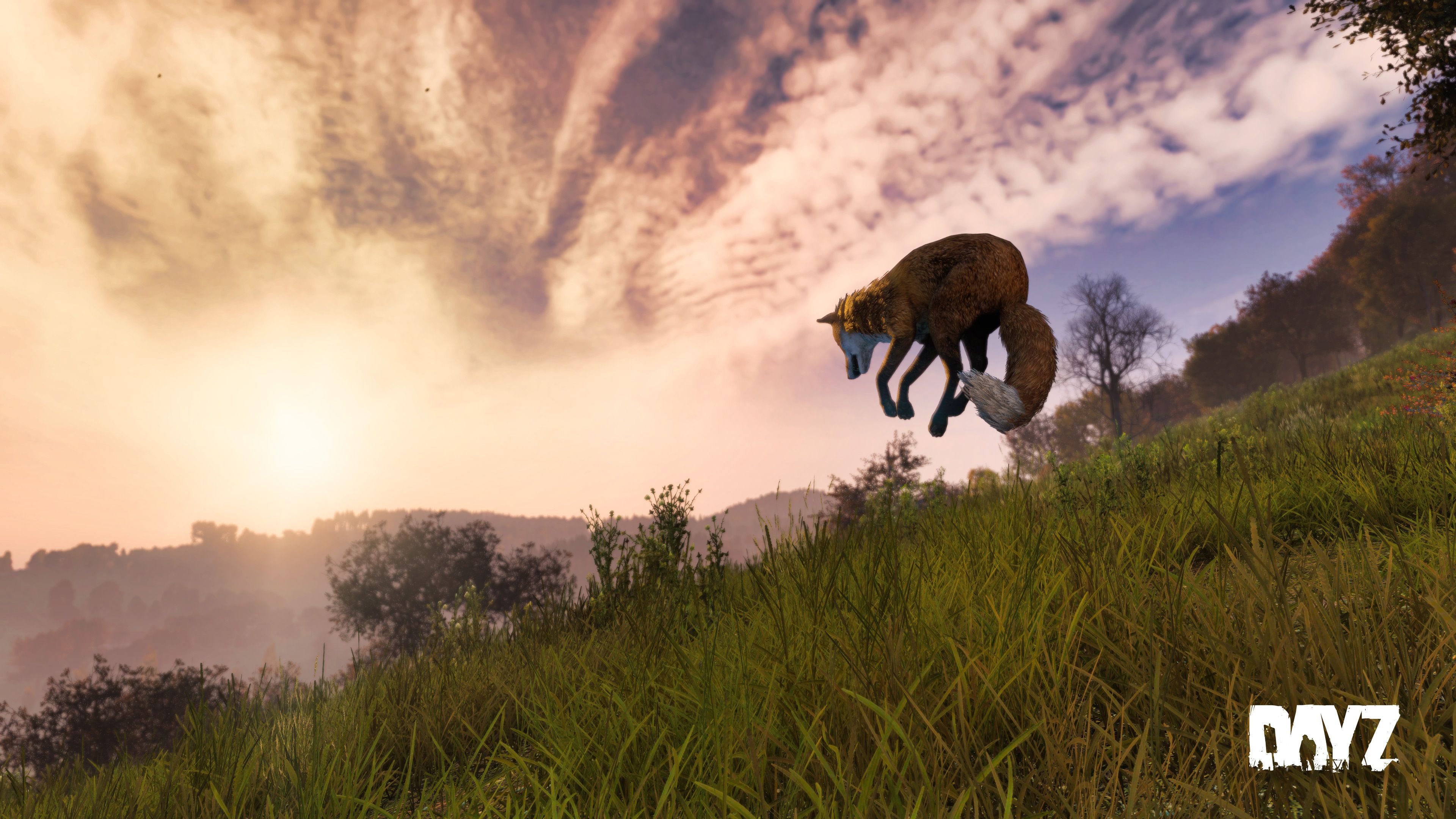 Community Spotlight - May 2025 | DayZ | Official website