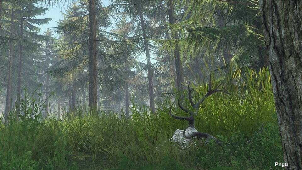 Community Spotlight - March 2024 | DayZ | Official website