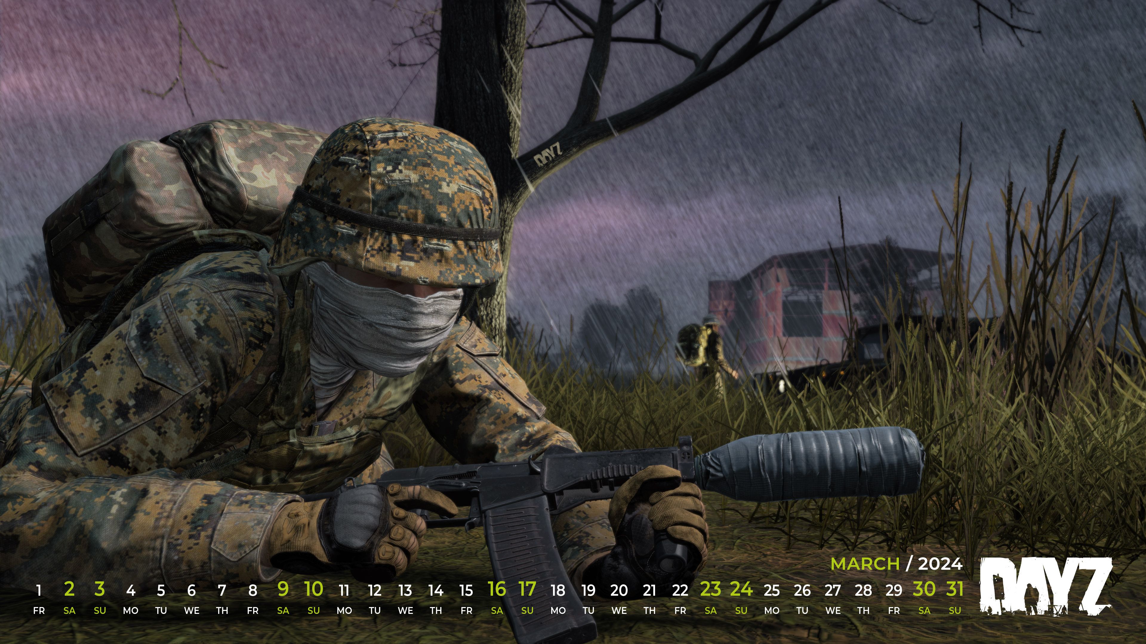 DayZ
